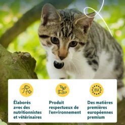 Yarrah multi-pack bio - pâtée chat