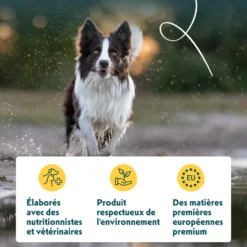Yarrah multi-pack bio - pâtée chien