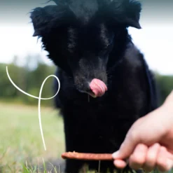 Yarrah sticks à mâcher bio chien