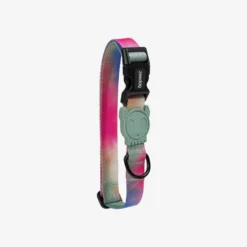 Zee Dog - Chien - Collier Blisse