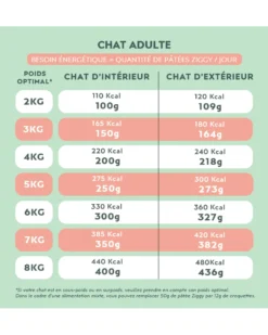 Ziggy Adult Boeuf Pâtée Pour Chat