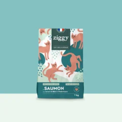 Ziggy Chat Adulte Stérilisé Saumon Croquettes 1kg