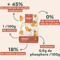 Ziggy poulet - croquettes chaton