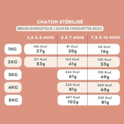 Ziggy poulet - croquettes chaton