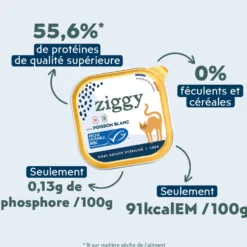 Ziggy Stérilisés Saveur Poisson Pâtée pour Chats Adult