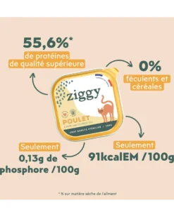 Ziggy Stérilisés Saveur Poulet Pâtée Pour Chats