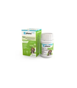 Zylkene Plus chien, chat